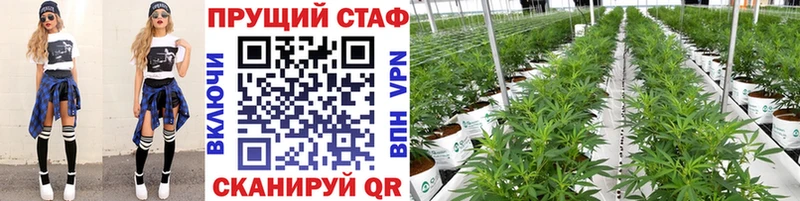 Купить закладку Арзамас МАРИХУАНА  СОЛЬ  Меф 