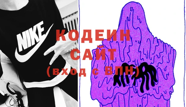 молекула духа Алзамай