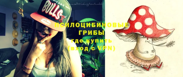 молекула духа Алзамай