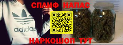 прущие грибы Майкоп
