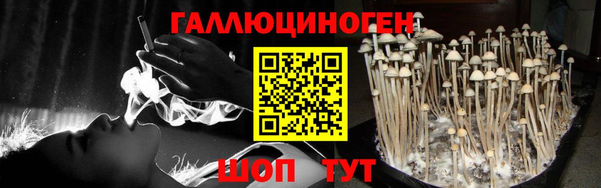 Псилоцибиновые грибы ЛСД  Вход с VPN  где можно купить наркотик  Арзамас 